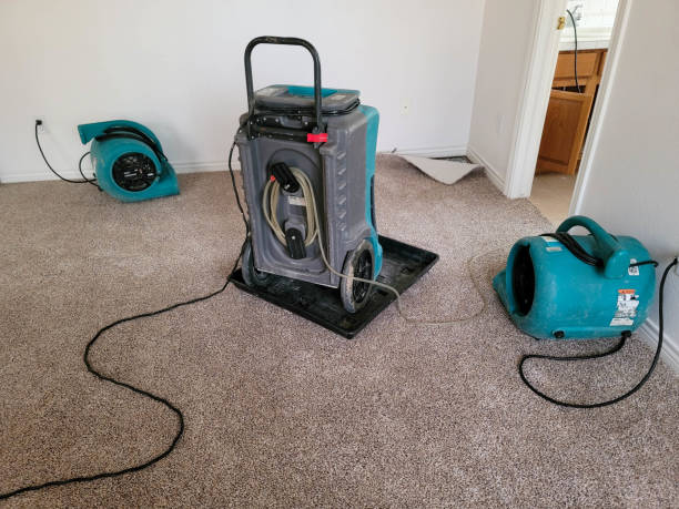 Best Water damage restoration mold remediation  in Unalaska, AK