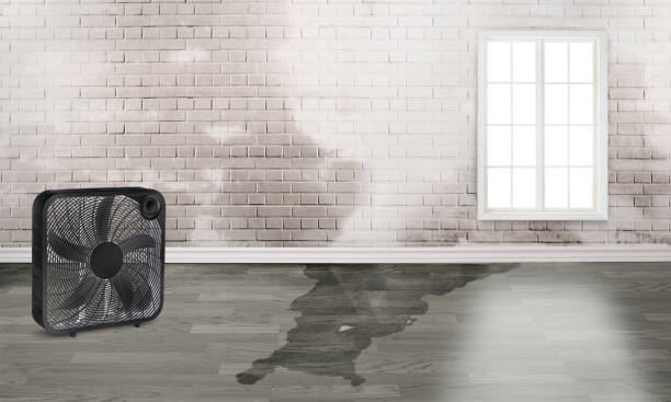 Water damage restoration mold remediation in Unalaska, AK