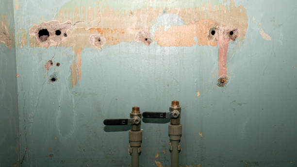 Best Carpet water damage restoration  in Unalaska, AK